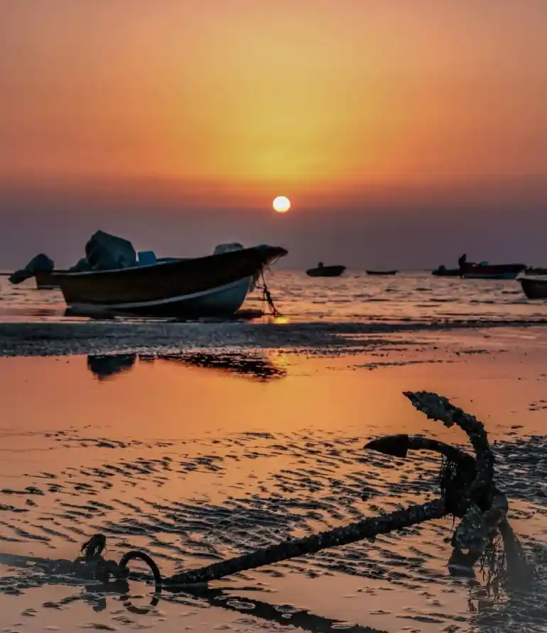 جزیره شیف بوشهر