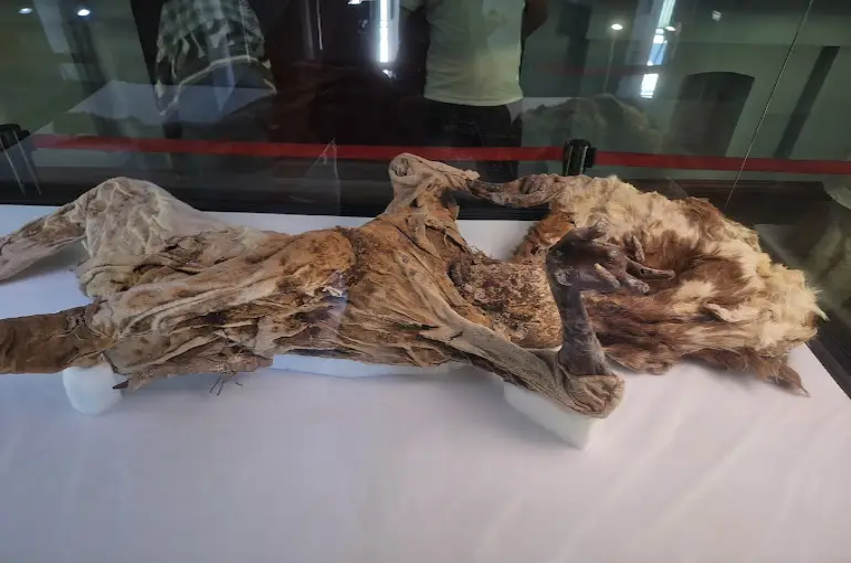 موزه مردان نمکی 