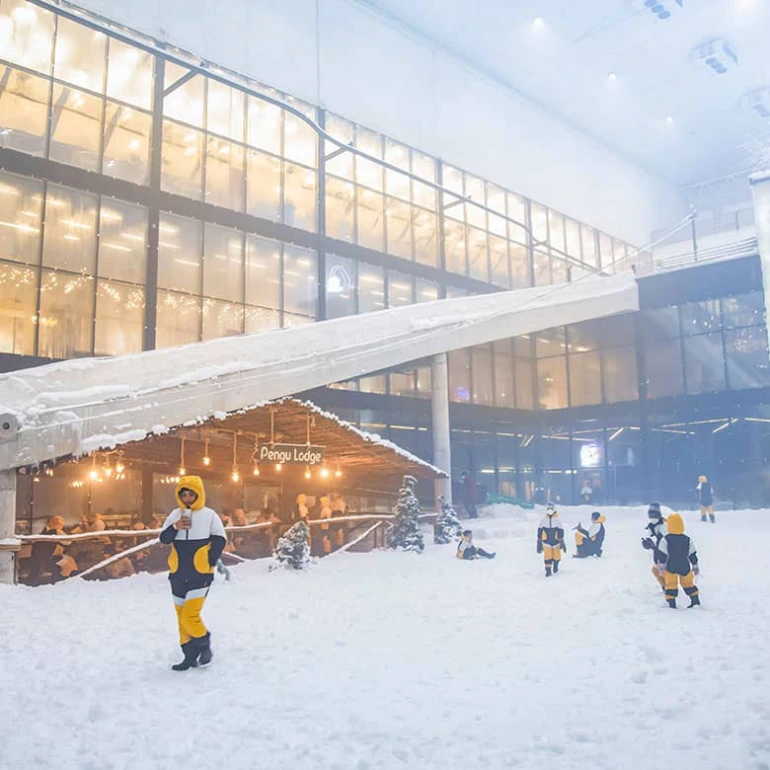 تفریحات پارک برفی کیش