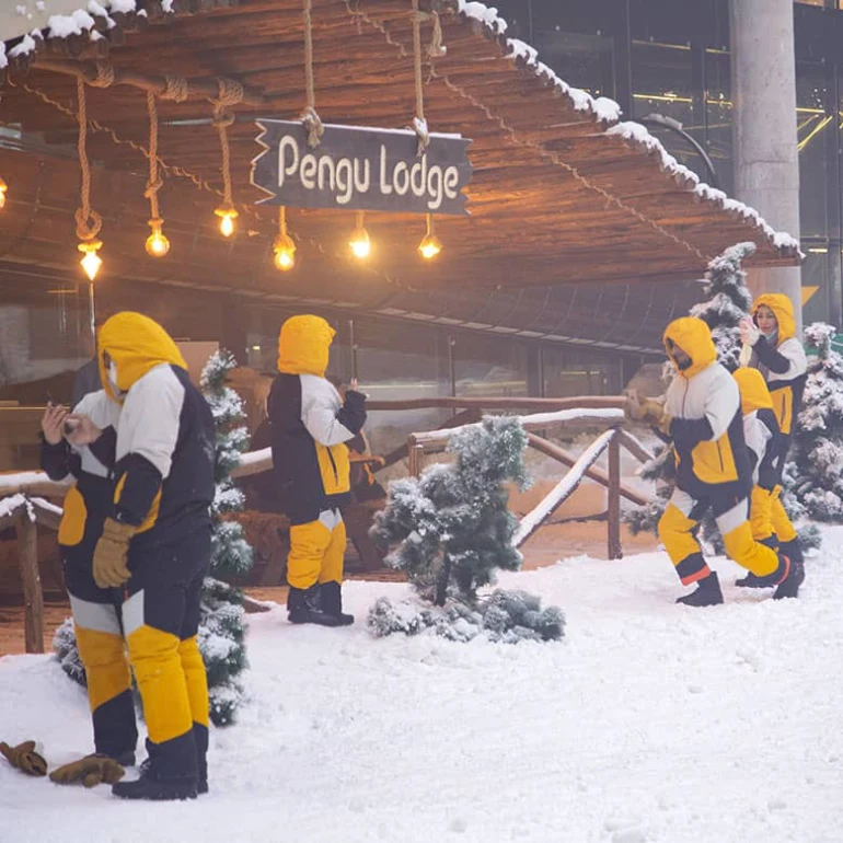 پارک برفی کیش