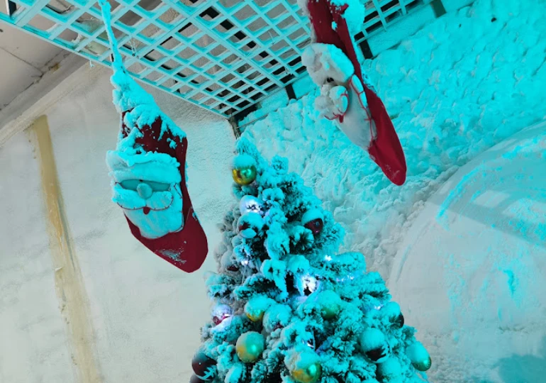 پارک برفی پنگوئن کیش