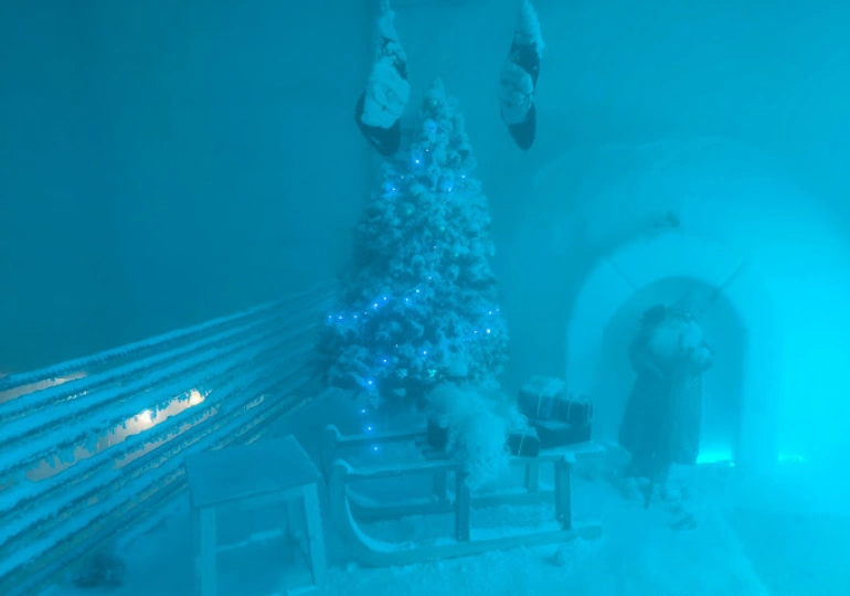 پارک برفی پنگوئن کیش