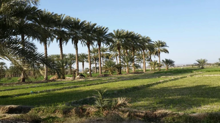 راهنمای سفر به ایرانشهر