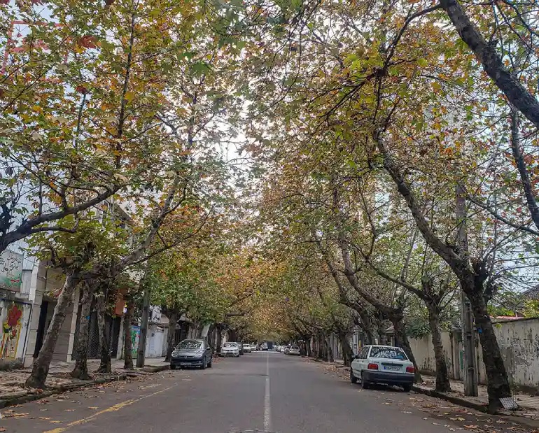 آب‌‌و‌هوای تالش