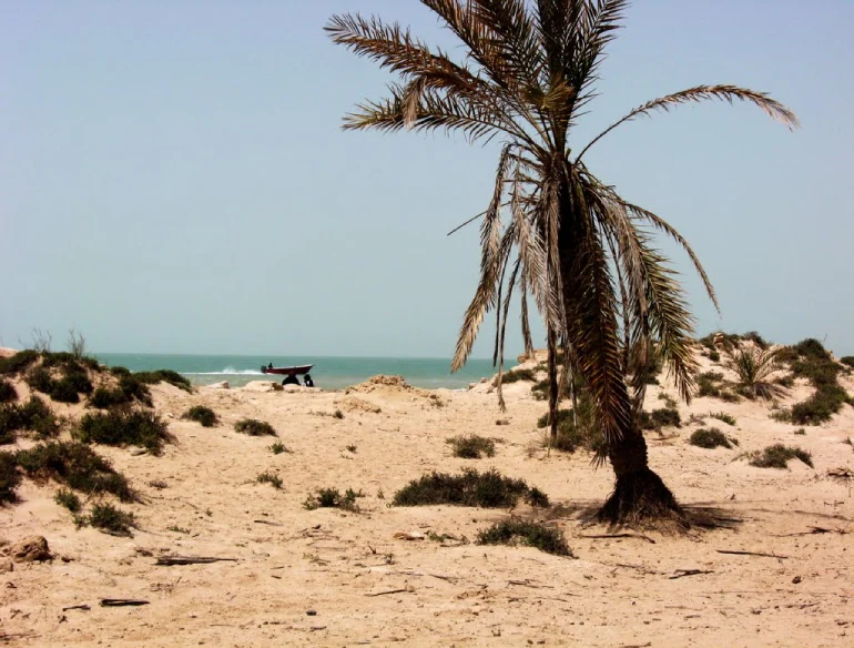 راهنمای سفر به بندر ریگ