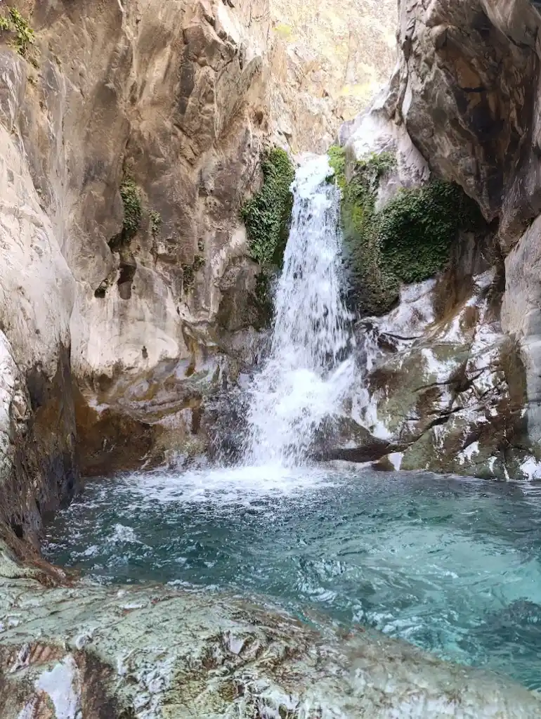 منطقه دلفارد