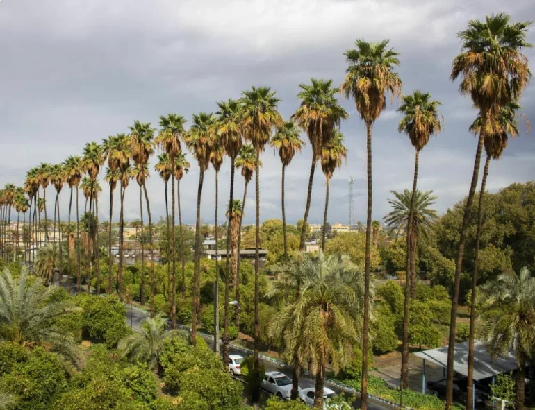 آب‌وهوای جیرفت