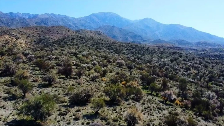 رشته‌کوه جبال بارز