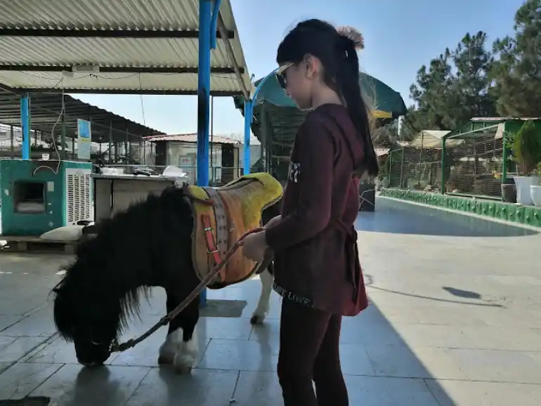 باغ پرندگان مشهد