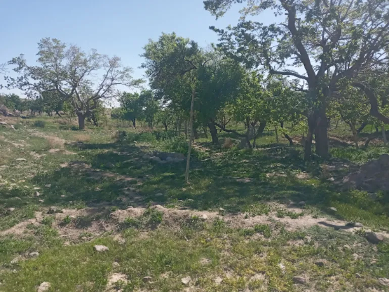 آب‌‌و‌هوای شهربابک