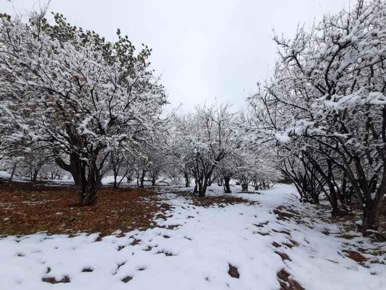 آب‌‌و‌هوای زرند