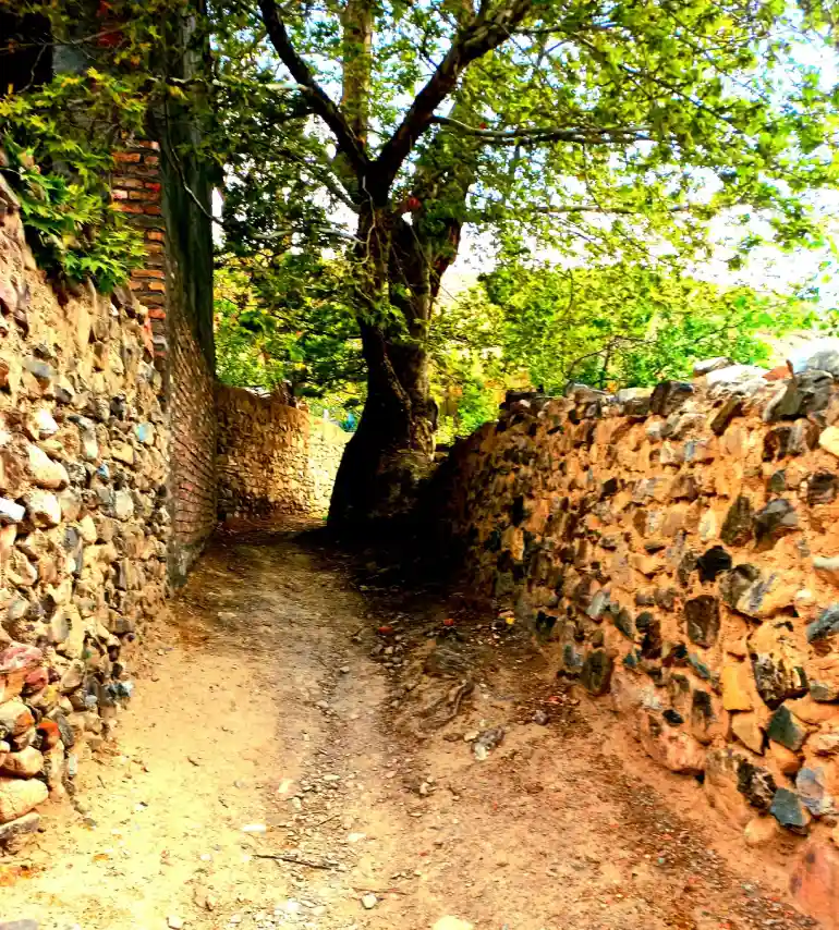 شهرستان زرند