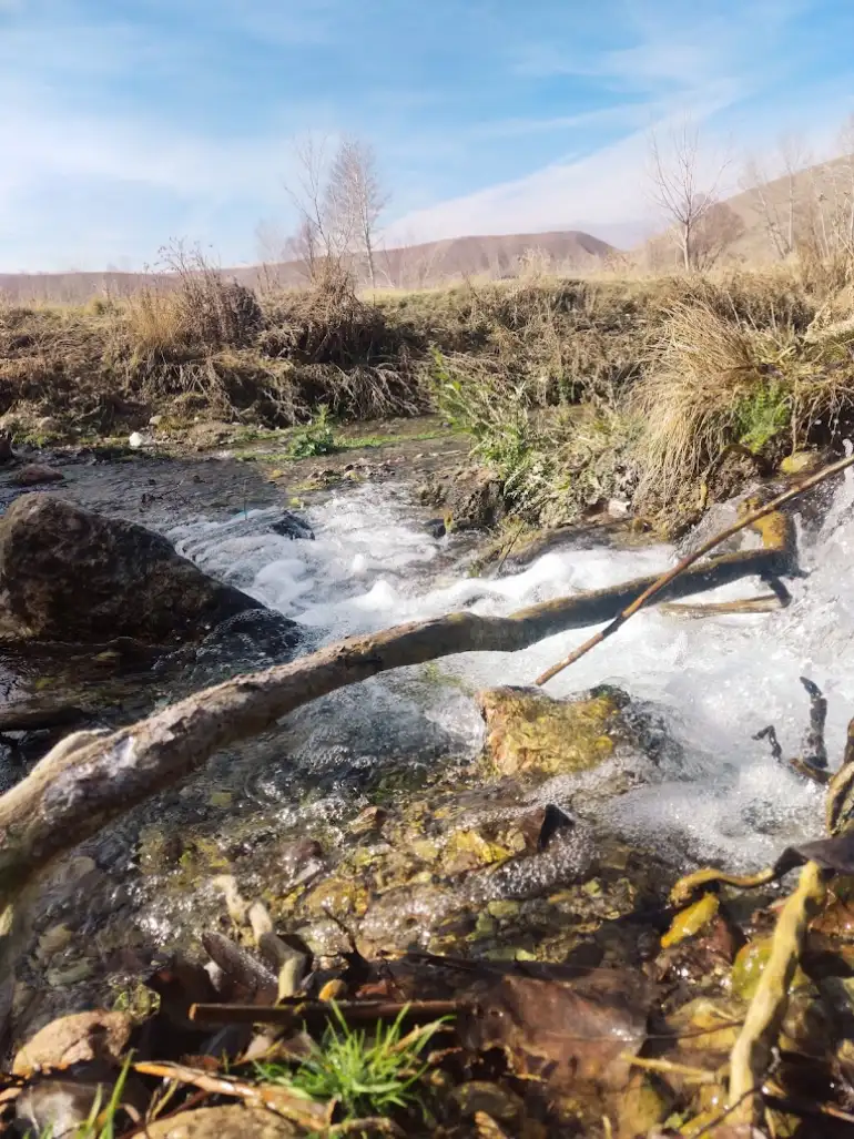 چشمه علی بلاغی