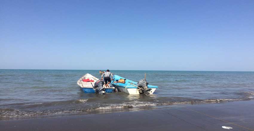 دریا و جنگل از جاهای دیدنی تالش 