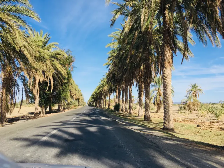 راهنمای سفر به ایرانشهر