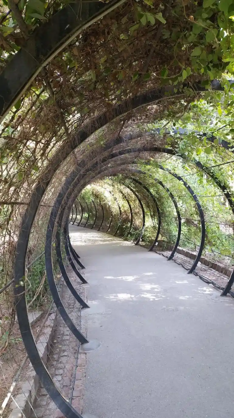 پارک ژوراسیک مشهد