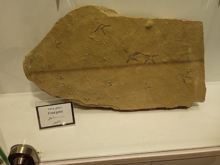 بخش‌های مختلف پارک ژوراسیک مشهد