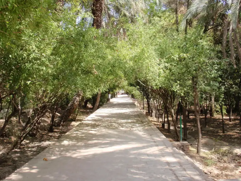 باغ گلشن طبس