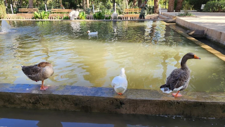 باغ گلشن طبس