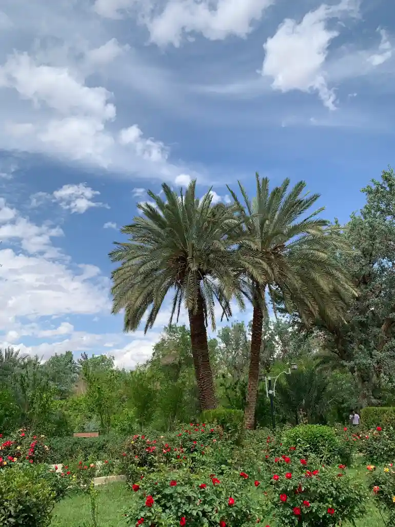 باغ گلشن طبس