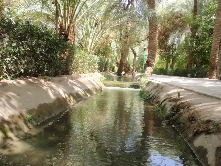 باغ گلشن طبس