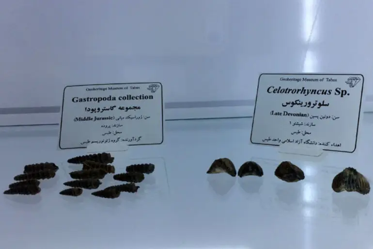 موزه زمین‌شناسی باغ گلشن طبس