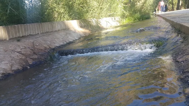 نگهداری و آبیاری باغ گلشن طبس