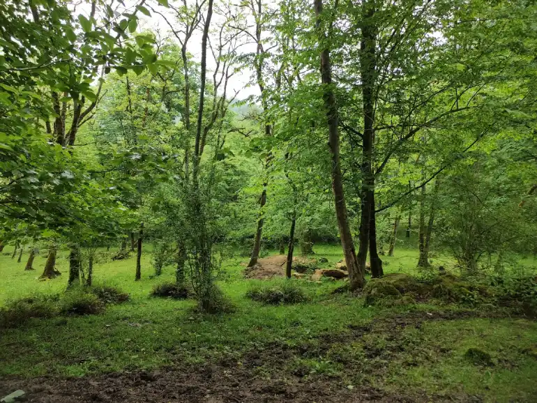 بهترین زمان بازدید از آبشار ترز