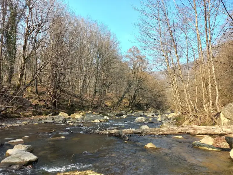 پوشش گیاهی و جانوری آبشار ترز