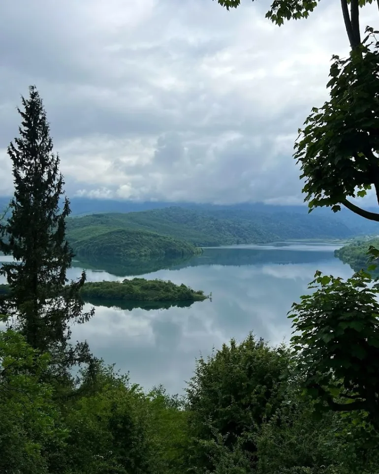 جنگل‌های لفور