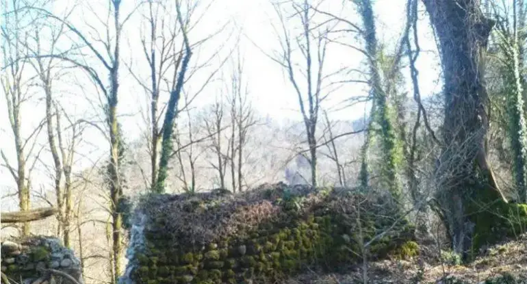 قلعه حسن‌بور