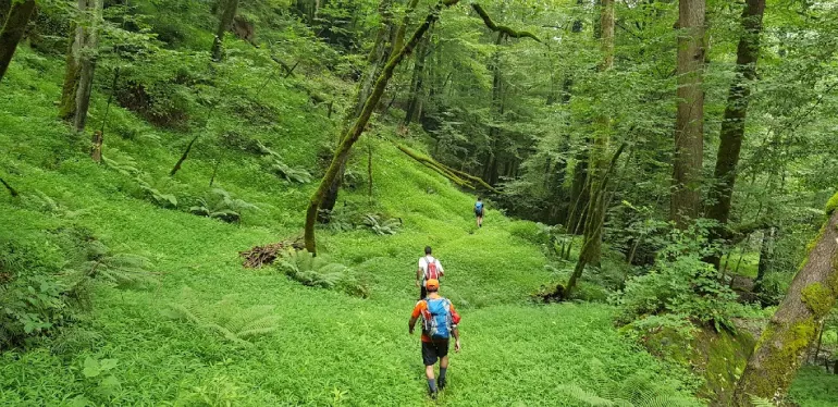 بهترین مسیر رفتن به آبشار اسکلیم