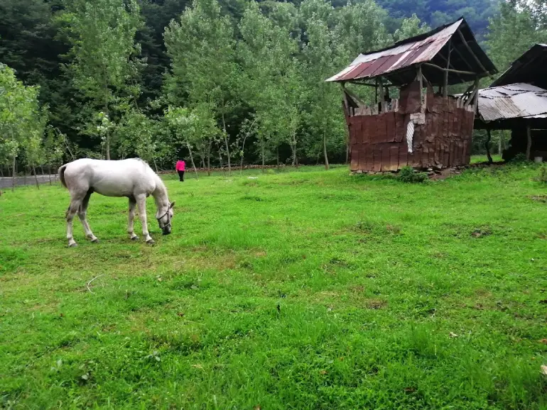 آبشار اسکلیم