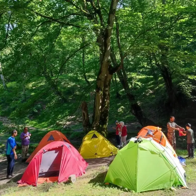 کمپینگ در طبیعت