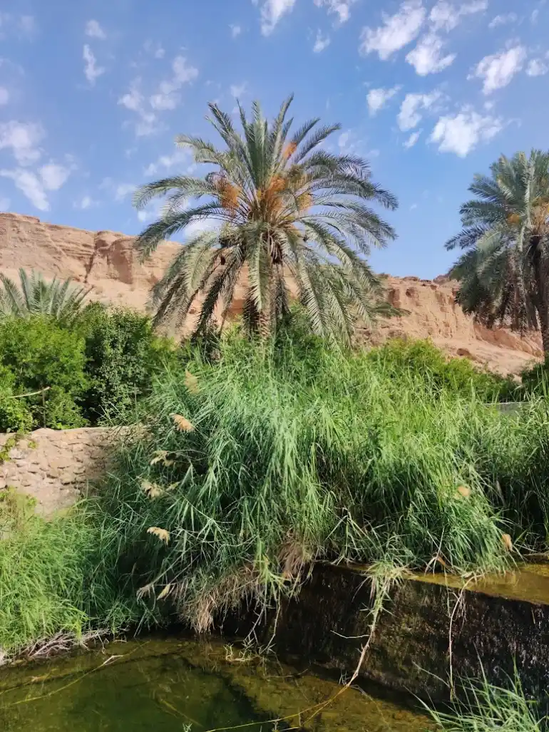 جاهای دیدنی طبس