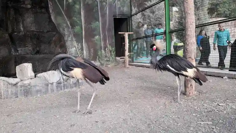 باغ وحش مشهد