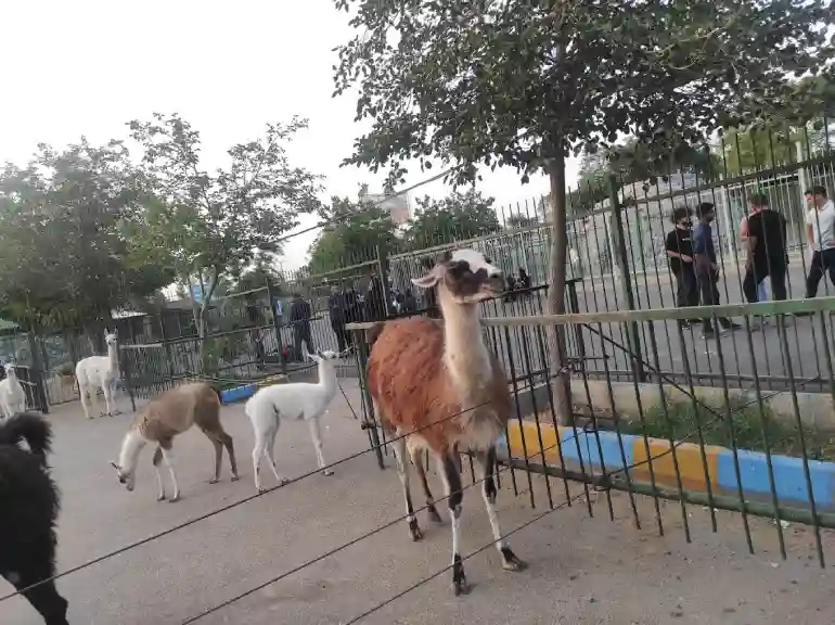 بهترین زمان بازدید از باغ وحش وکیل آباد مشهد