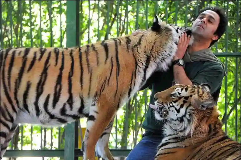 حیوانات باغ وحش مشهد