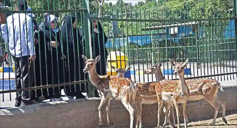 بخش بازدید از حیوانات