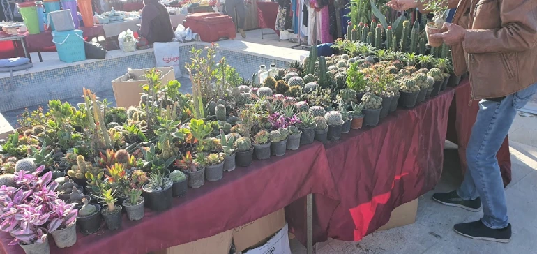 تصاویر جمعه بازار پروانه