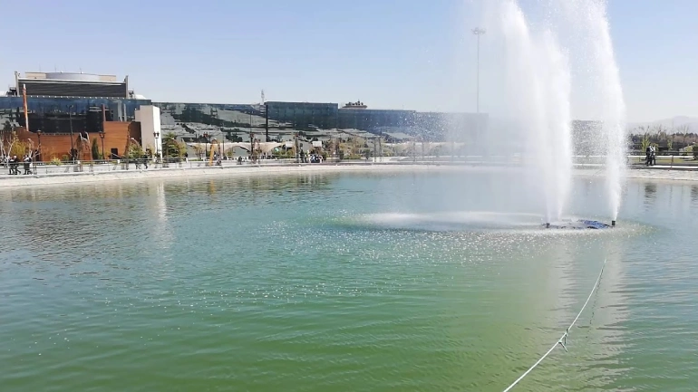 جمعه بازار پروانه