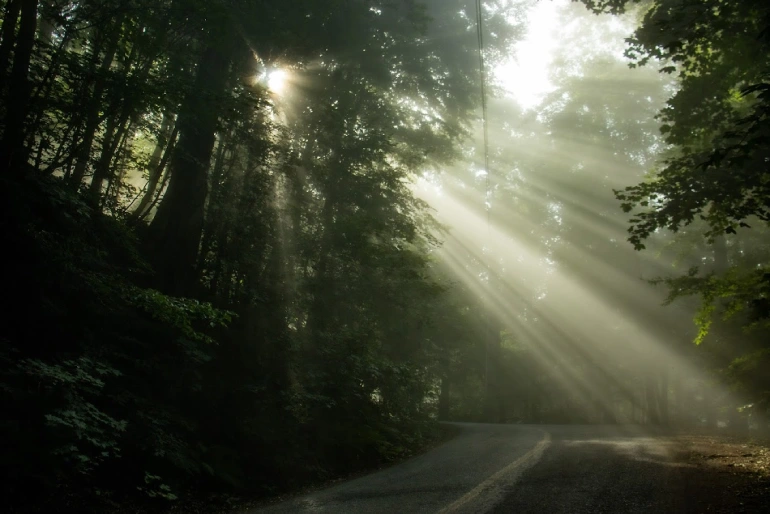 ییلاق درازنو