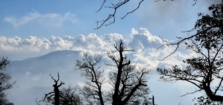 ییلاق درازنو