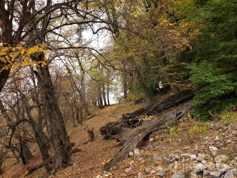 بهترین زمان بازدید از روستای درازنو