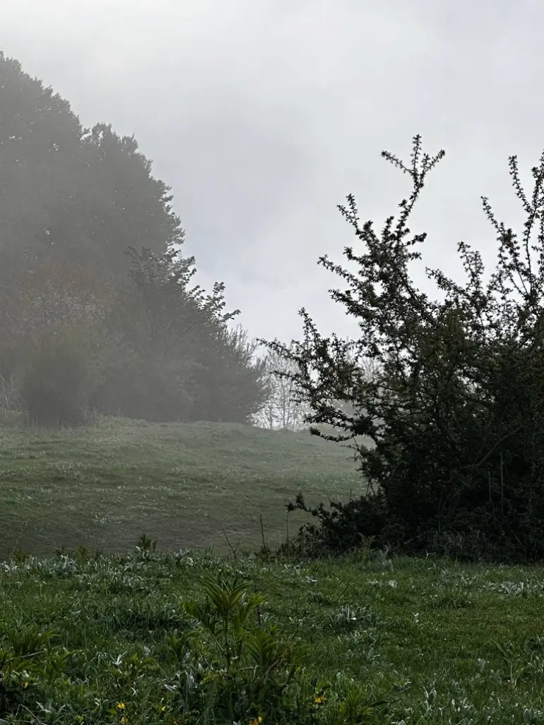منطقه حفاظت‌شده جهان‌نما
