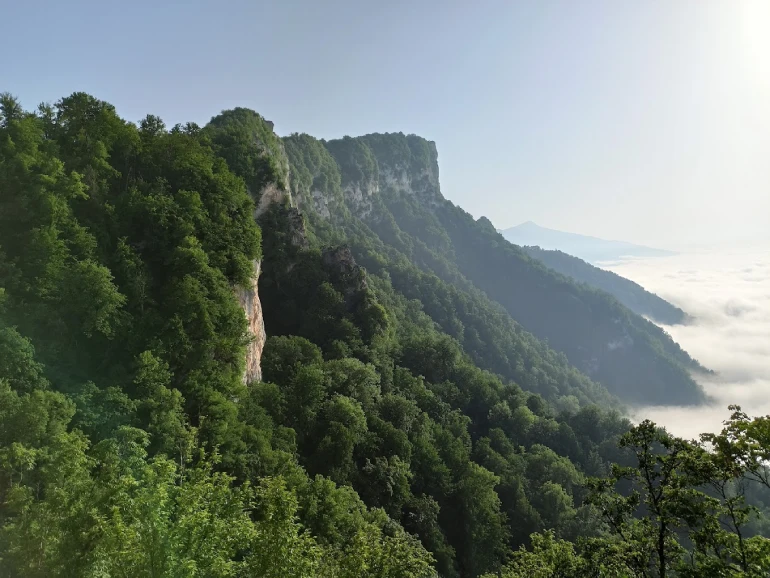 منطقه حفاظت‌شده جهان‌نما