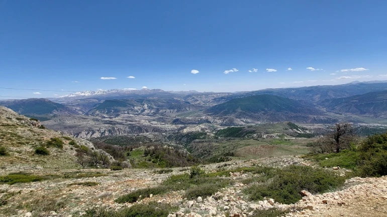 پوشش گیاهی و جانوری روستای درازنو