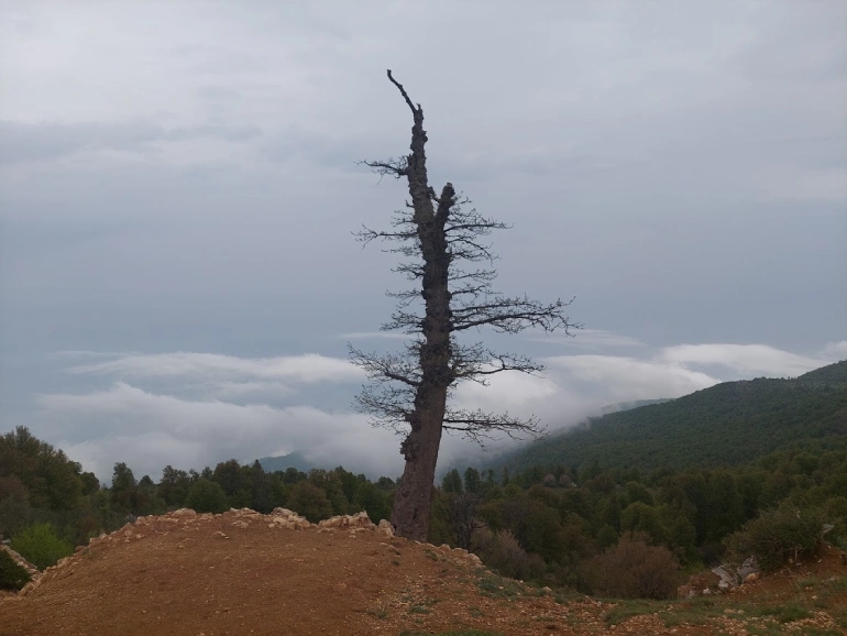 روستای درازنو گلستان