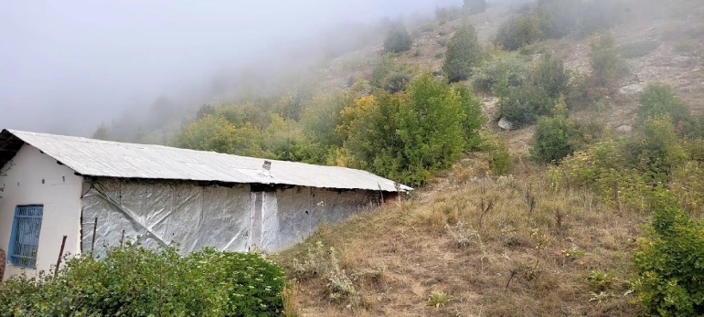 اقامت در روستای درازنو