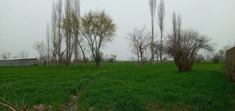 بهترین زمان سفر به کردکوی